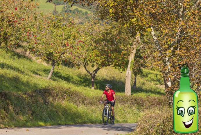 Tour 5.0 por los Paisajes del Manzano - Comarca de la Sidra