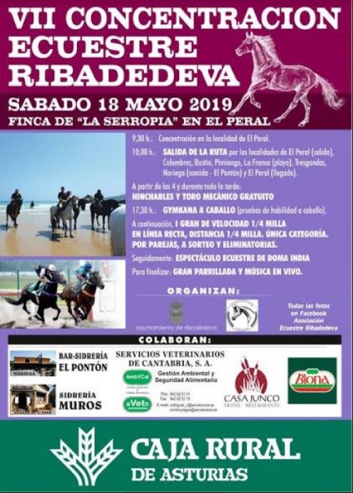 VII Concentración Ecuestre de Ribadedeva 2019 - Concejo de Ribadedeva
