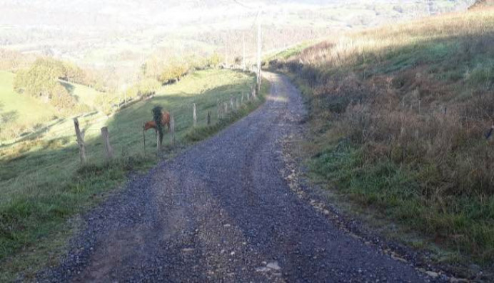 Proyecto de acondicionamiento de pistas de concentración parcelaria - Concejo de Parres