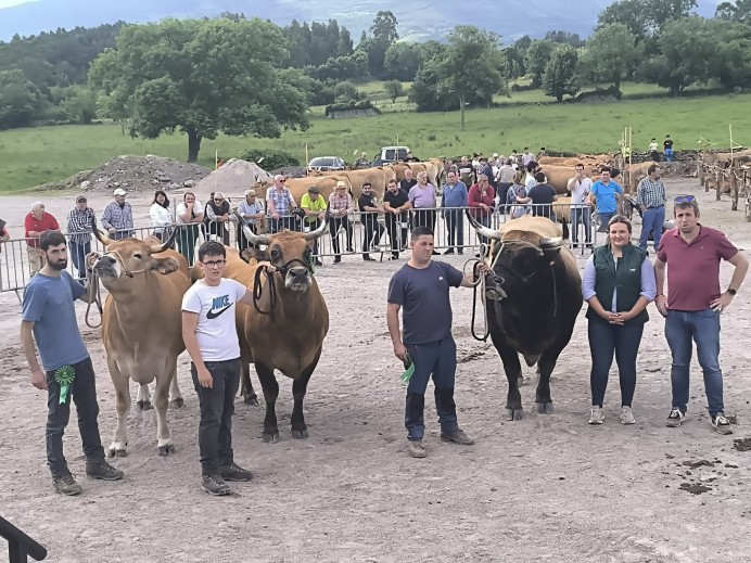 La ganadería asturiana se da cita en Colunga en el XXVI Certamen de Ganado Nuestra Señora de Loreto - Concejo de Colunga
