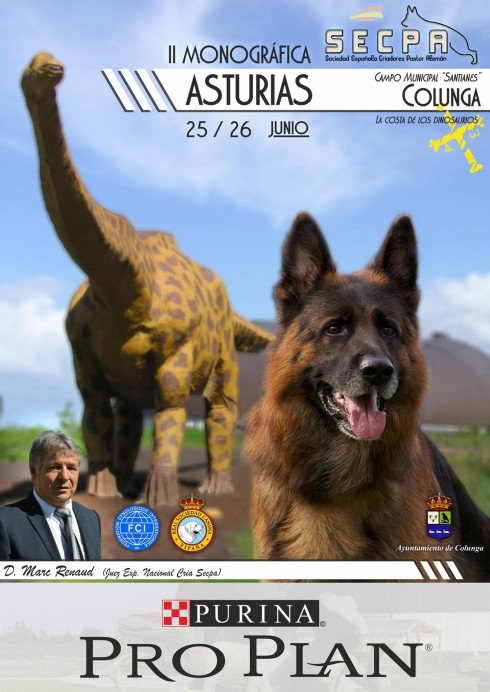 Concurso de belleza de pastores alemanes en Colunga - Sociedad y Cultura