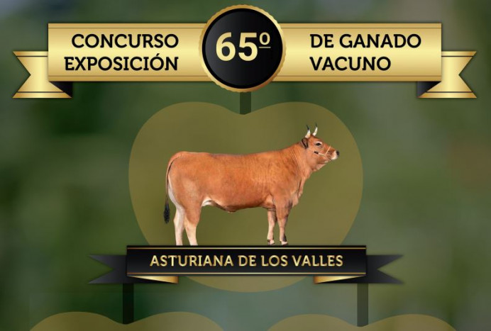 Éxito de participación en el concurso de ganado del Portal que tendrá lugar el próximo miércoles - Concejo de Villaviciosa