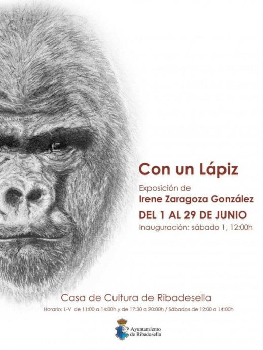 Último día para Visitar: Con un Lápiz de Irene Zaragoza en Ribadesella - Concejo de Ribadesella