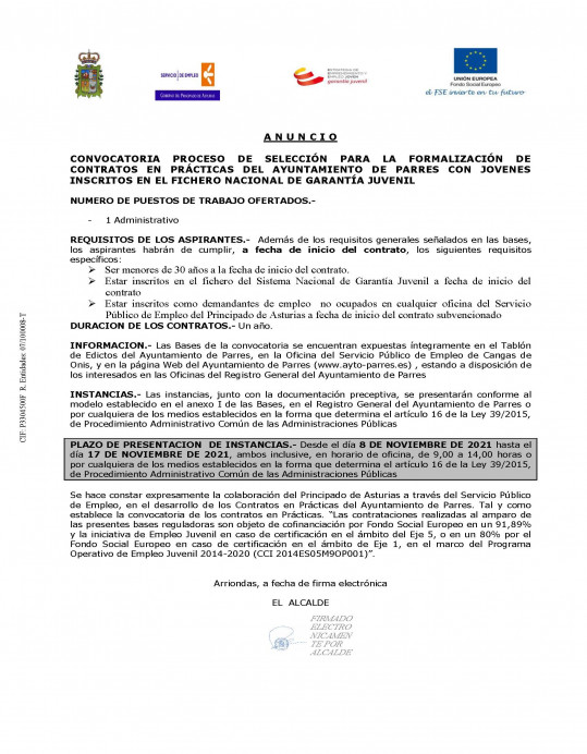 Convocatoria proceso de selección para la formalización de contratos en prácticas del ayuntamiento de Parres con jóvenes  inscritos en el fichero nacional de garantía juvenil - Concejo de Parres