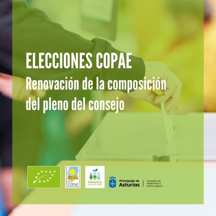 COPAE anuncia elecciones para renovar su pleno gubernativo - Asturias