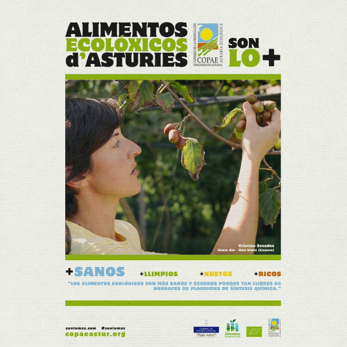 El COPAE proclama nuevos vocales electos - Asturias