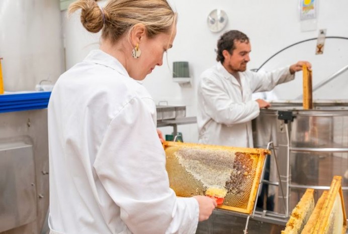 El COPAE llevará a BioCultura Madrid los productos ecológicos más representativos de Asturias - Asturias