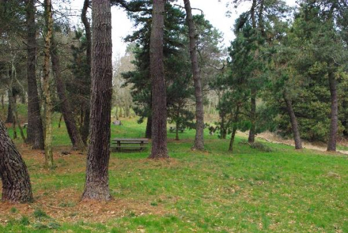 Un varón ha fallecido, tras sentirse indispuesto, mientras circulaba en moto por el Cordal de Peón, en Villaviciosa. - Concejo de Villaviciosa