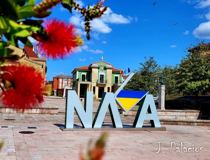 Nava celebra el Día del Voluntariado de Protección Civil con un reconocimiento especial al operativo de Moncada durante la Dana - Concejo de Nava