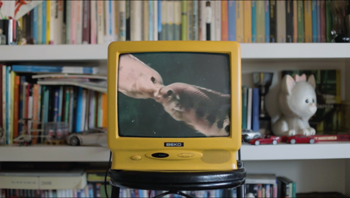 Beyond the glacier, elegido mejor corto documental en el Festival Internacional de Cine de Agrigento, en Italia - Sociedad y Cultura