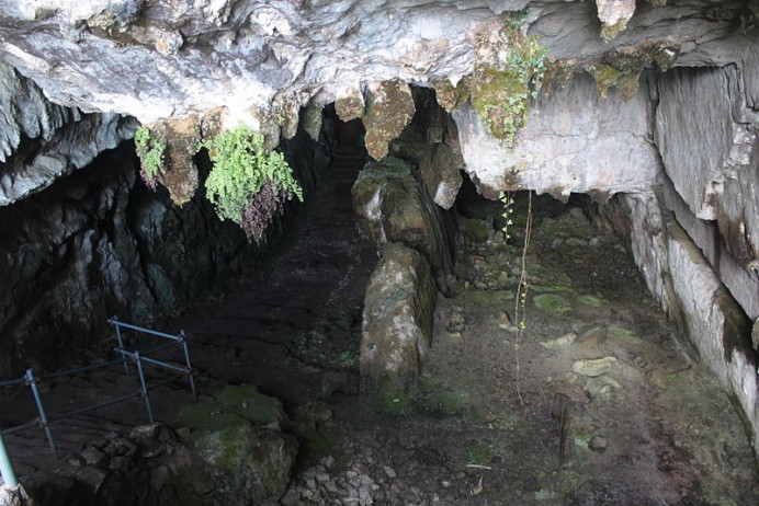 Cultura reabre la cueva de El Pindal a las visitas  - Concejo de Ribadedeva