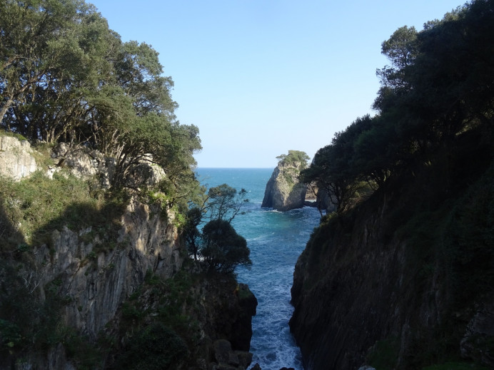 Ecologias de Asturias: Tenemos que proteger de vertidos el monumento que es la Cueva del Pindal - Ecología y Medioambiente