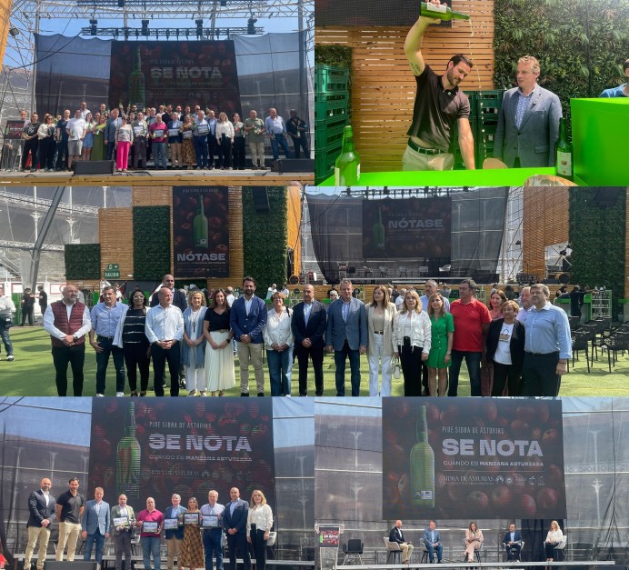 Asturias impulsa la cultura sidrera como motor de desarrollo económico, cultural y turístico - Asturias