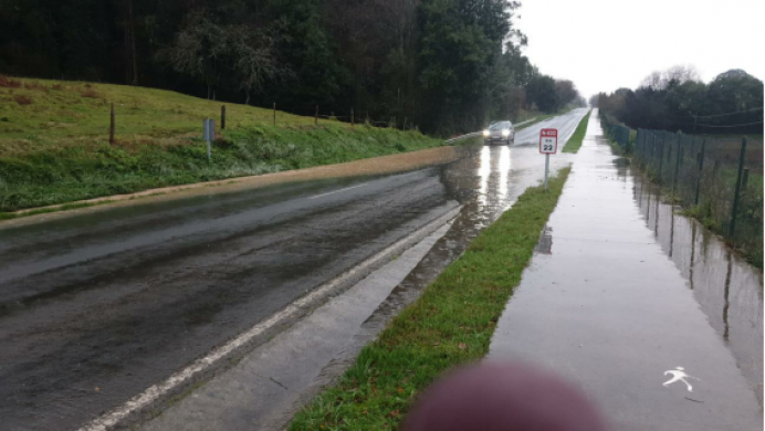 Ciudadanos Colunga denuncia la dejadez del Gobierno local en la limpieza de las cunetas de la N-632  - Concejo de Colunga