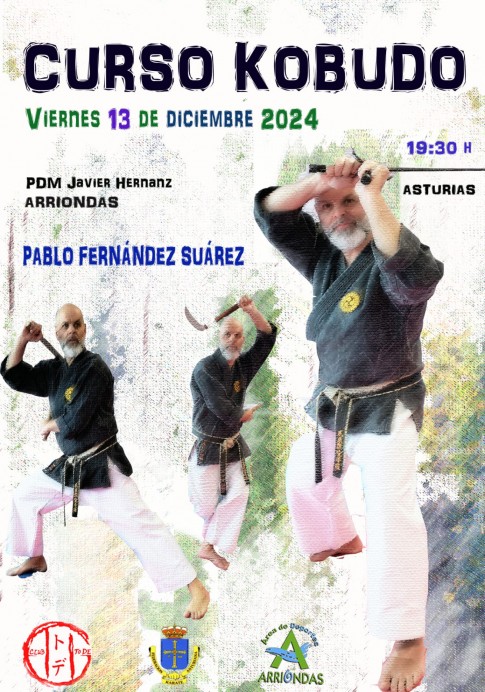 Curso de Kobudo en Arriondas con el Maestro Pablo Fernández Suárez - Concejo de Parres