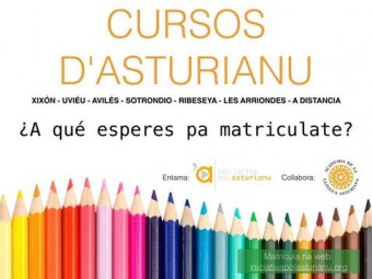 Matrícula en cursos d'asturianu - NAst