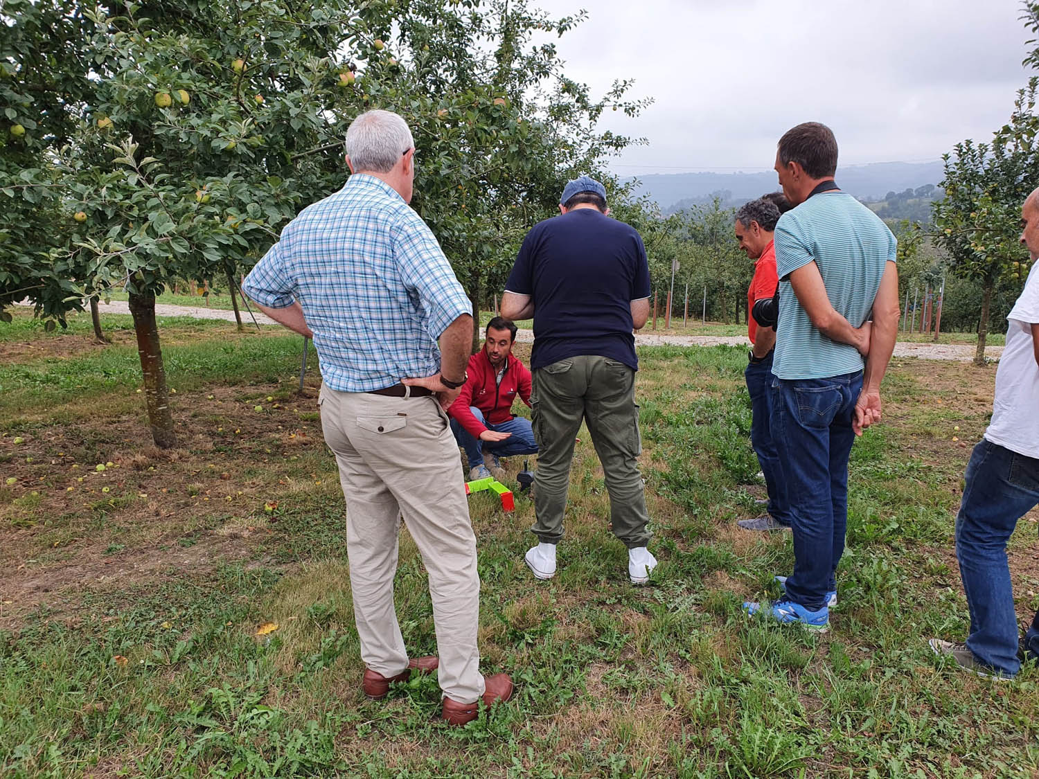 El Gobierno de Asturias reintroduce dos aves rapaces nocturnas en una pomarada ecológica experimental de Campoastur - Asturias