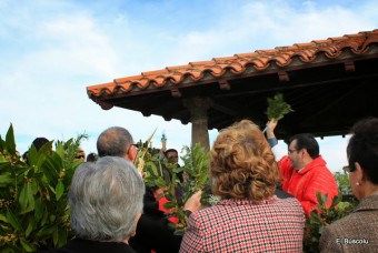 Domingo de Ramos en Lastres - Concejo de Colunga