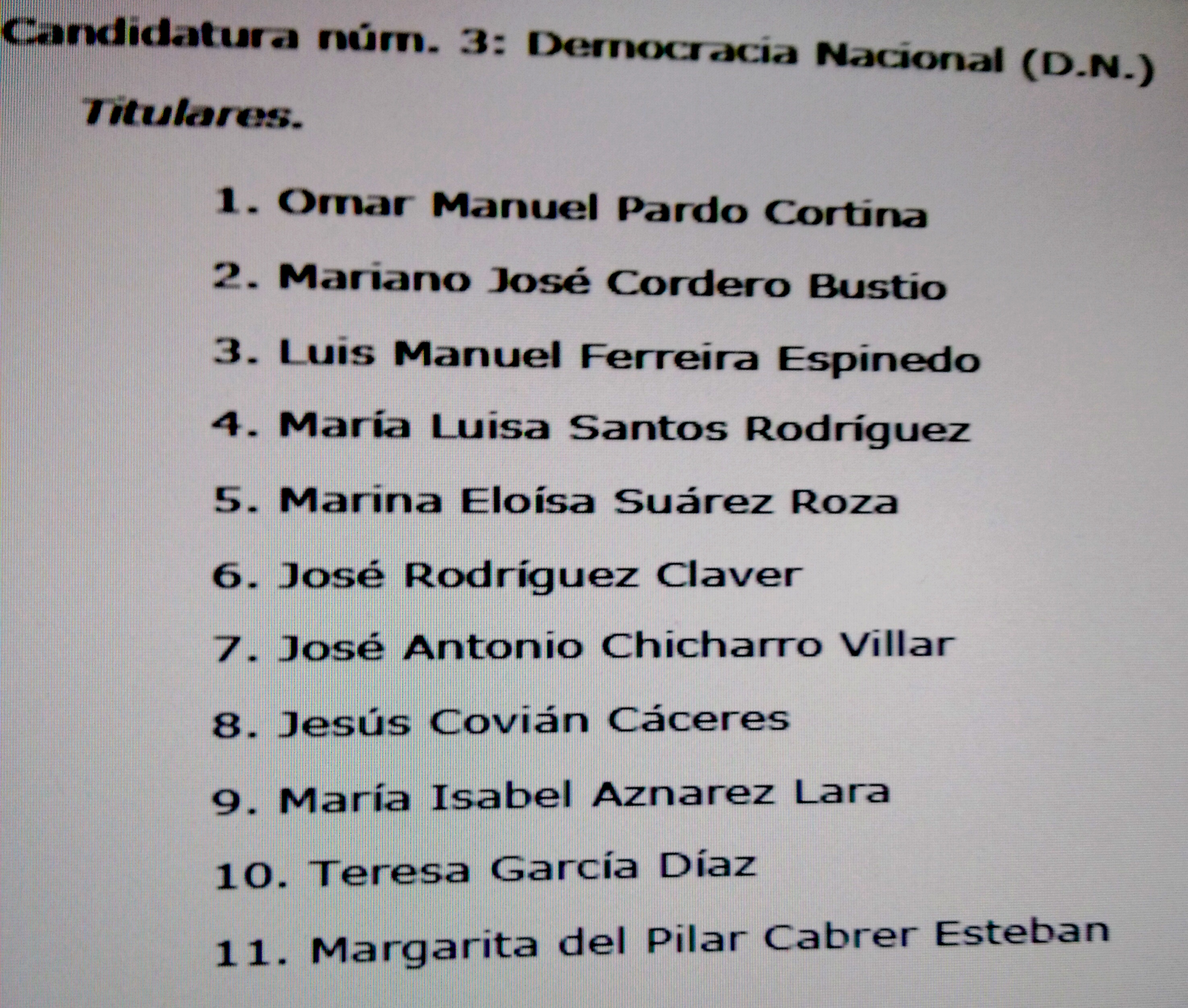 Lista de Democracia Nacional por Colunga - Elecciones municipales y autonómicas 2019