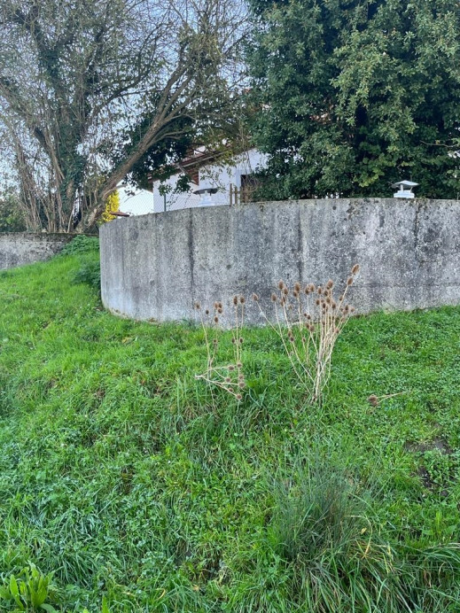 Ecologistas de Asturias: Sancionado de nuevo el Ayuntamiento de Colunga por los vertidos de la rasa de Luces - Ecología y Medioambiente