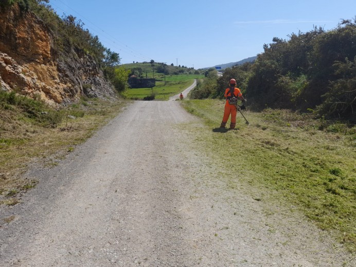 Avanzan los trabajos de desbroce y limpieza en múltiples localidades del concejo de Llanes - Concejo de Llanes