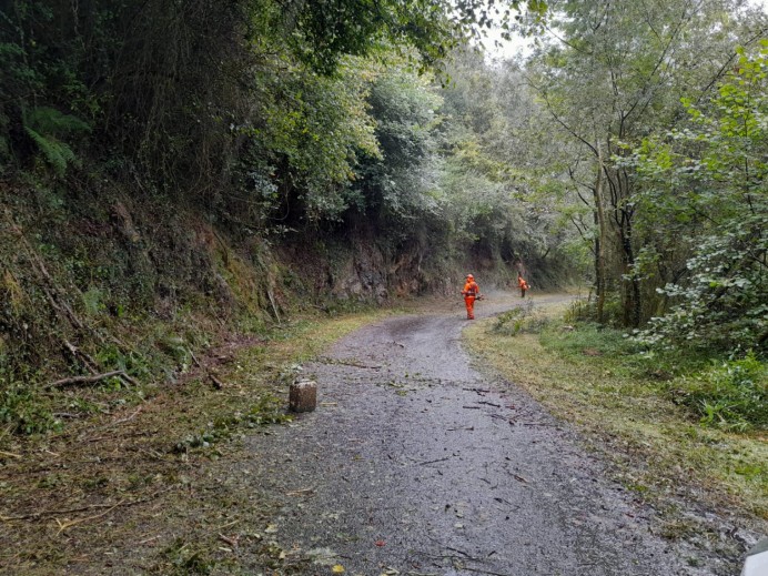 El Ayuntamiento de Llanes avanza con los planes municipales de desbroce y limpieza en diversas zonas del concejo - Concejo de Llanes