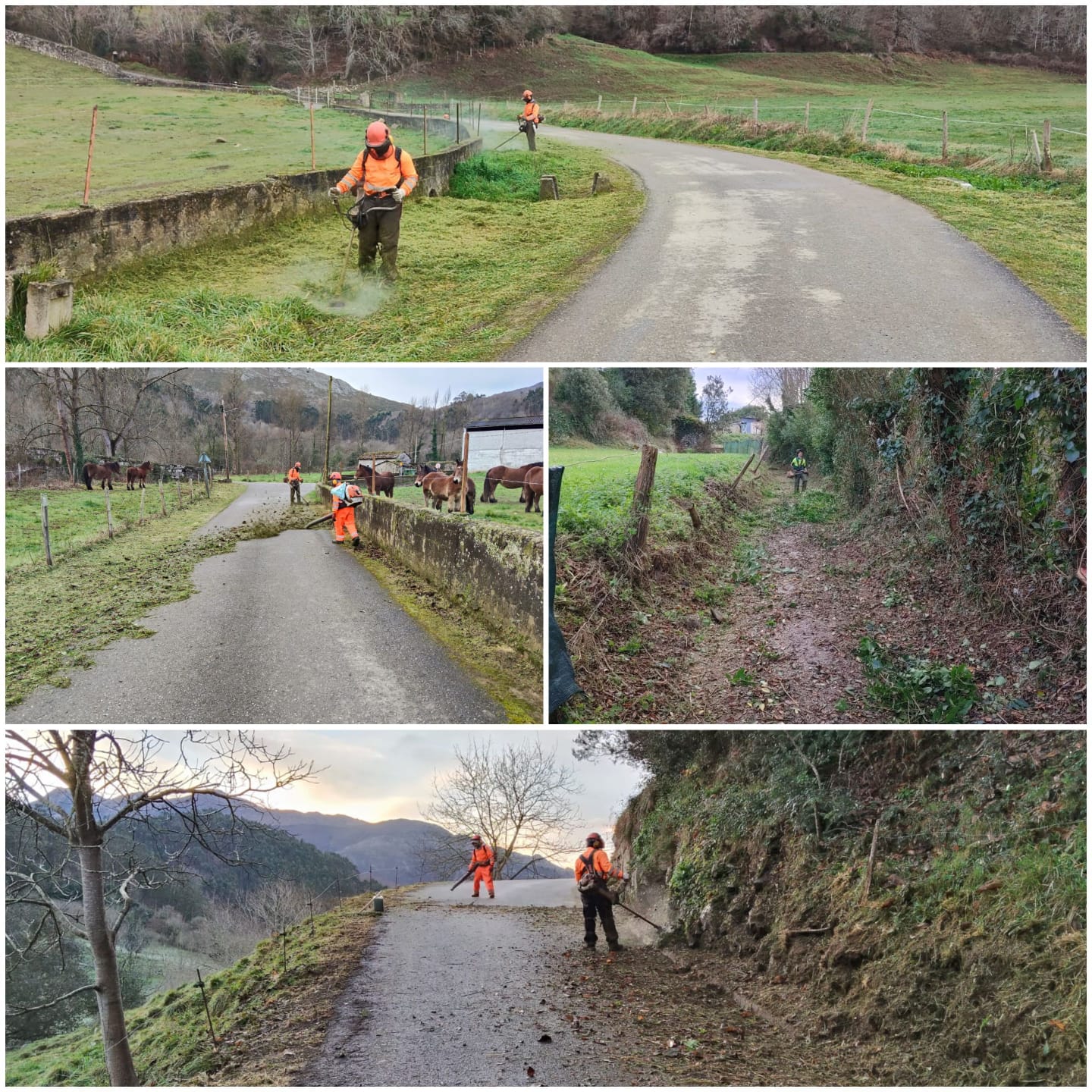 El Ayuntamiento de Llanes intensifica las labores de desbroce y limpieza en carreteras y caminos del concejo - Concejo de Llanes