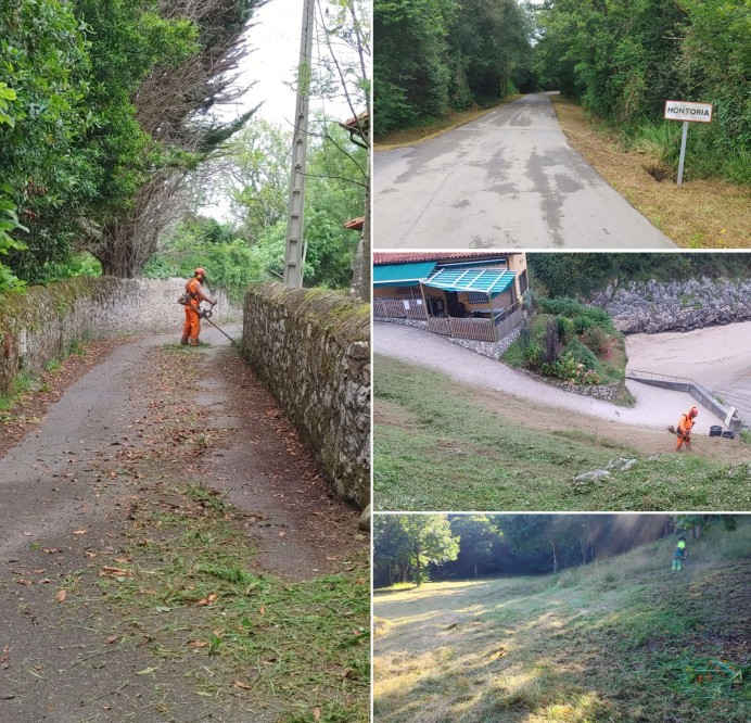Llanes intensifica las tareas de limpieza y desbroce en pueblos y caminos del concejo - Concejo de Llanes