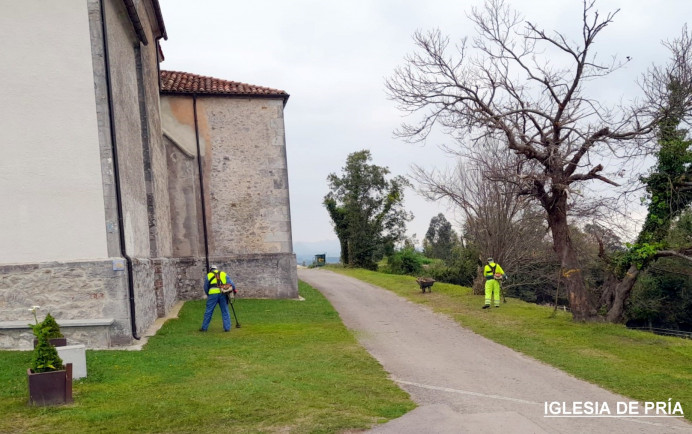 Plan de Desbroce y Plan de Limpieza Concejo Llanes - Concejo de Llanes