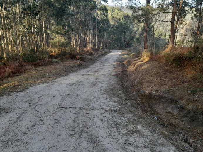 Avances del Plan Municipal de Desbroce en Llanes: Mejora de caminos y viales en diversos puntos del concejo - Concejo de Llanes