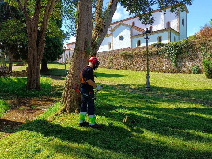 Mantenimiento de parques y paseos - Concejo de Colunga