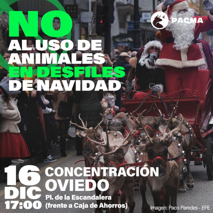 PACMA se concentrará este viernes en Oviedo contra el uso de animales en desfiles de Navidad - Asturias