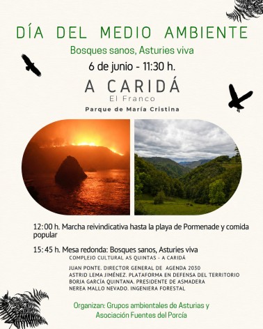 Organizaciones ambientales de Asturias piden una mayor protección de los bosques autóctonos