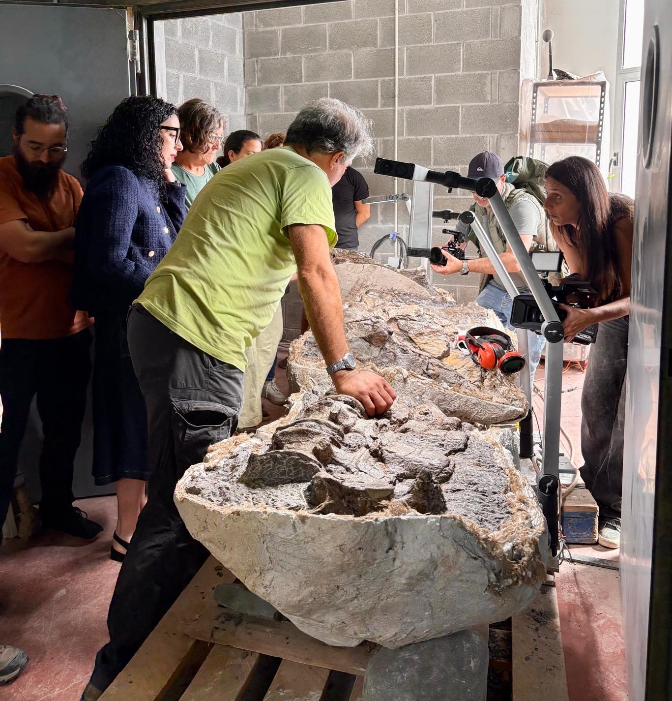 El MUJA invita al público a poner nombre al gran dinosaurio hallado en los acantilados de Ribadesella - Concejo de Colunga