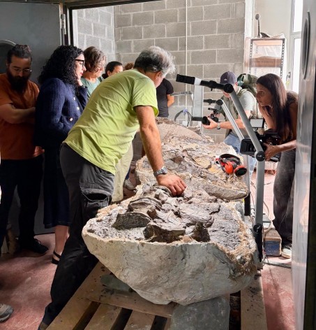 El MUJA invita al público a poner nombre al gran dinosaurio hallado en los acantilados de Ribadesella - Concejo de Colunga