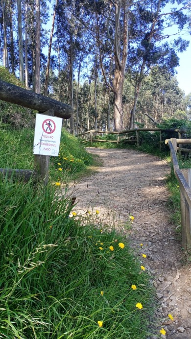 Corte en la senda Playa de La Griega-Huellas de los dinosaurios - Concejo de Colunga