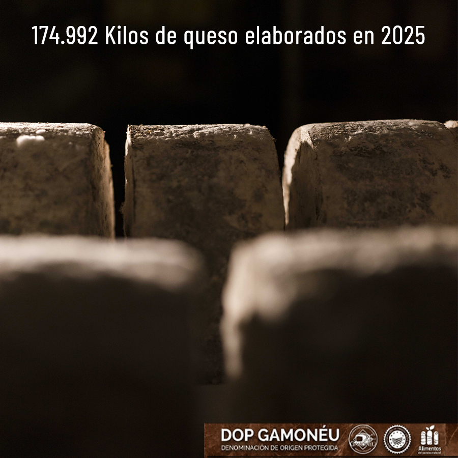 La DOP Gamonéu cerró 2025 con 174.992 kilos de queso y un repunte en la leche de cabra pese al descenso global - Concejo de Cangas de Onís