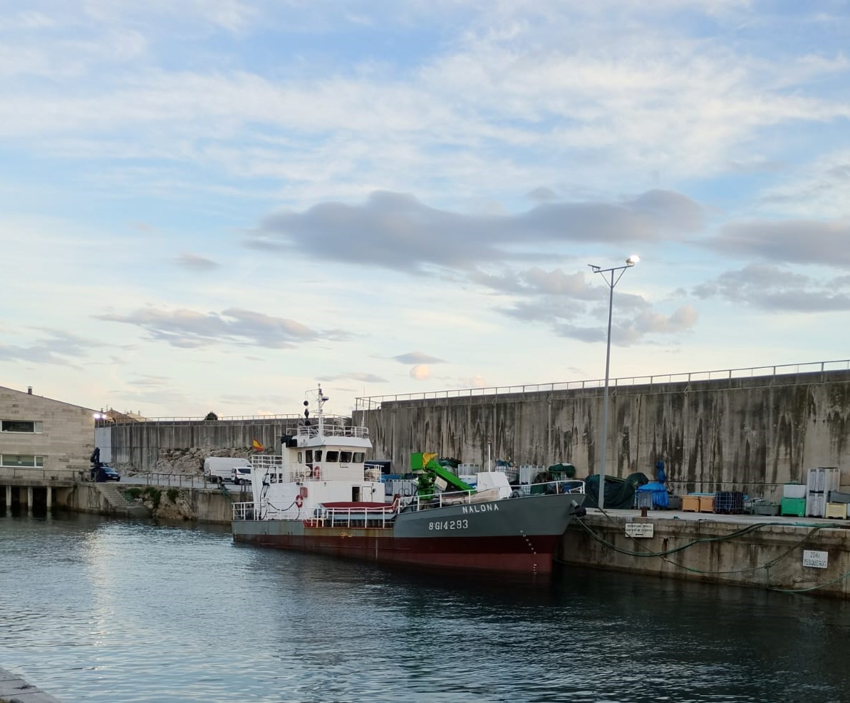 Comienzan los trabajos de dragado en el puerto de Llanes para mejorar el calado y la maniobrabilidad - Concejo de Llanes