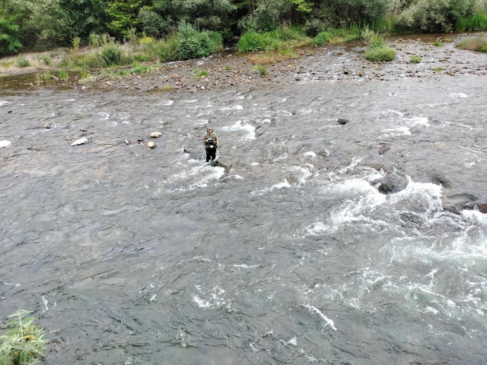 Ecologistas alertan del inicio de una nueva temporada de pesca del salmón con muerte en Asturias pese al grave declive de la especie - Ecología y Medioambiente