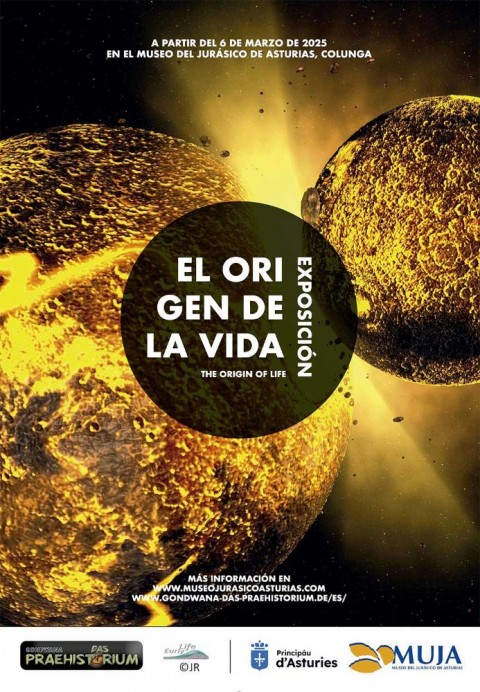 El MUJA inaugura El origen de la vida, una exposición en colaboración con el Museo Gondwana - Concejo de Colunga