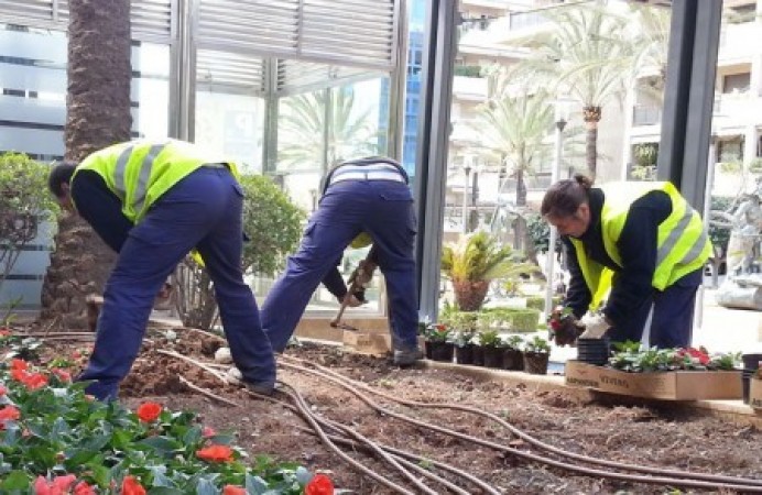 Nuevo taller de empleo en Villaviciosa - Concejo de Villaviciosa