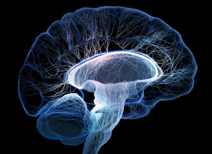 Tratamiento contra la epilepsia - Salud, belleza y bienestar