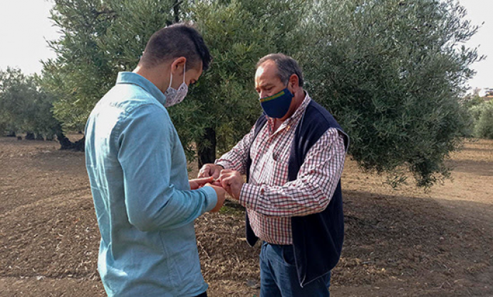 Erasmus agrario para jóvenes agricultores - Emprendedores