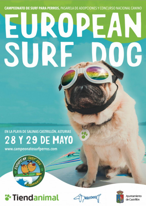 I Campeonato Europeo de Surf para Perros - Deportes