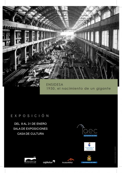 EXPOSICIÓN: ENSIDESA 1950. EL NACIMIENTO DE UN GIGANTE. - Arte