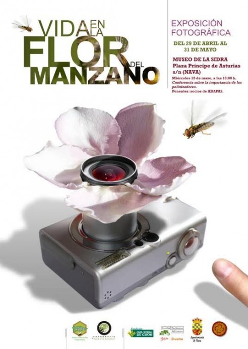 Charla sobre los polinizadores del manzano - Comarca de la Sidra