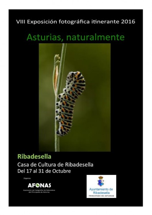 Exposición Casa de Cultura de Ribadesella - Concejo de Ribadesella