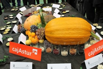 XXV Semana de les fabes de Colunga - Concejo de Colunga