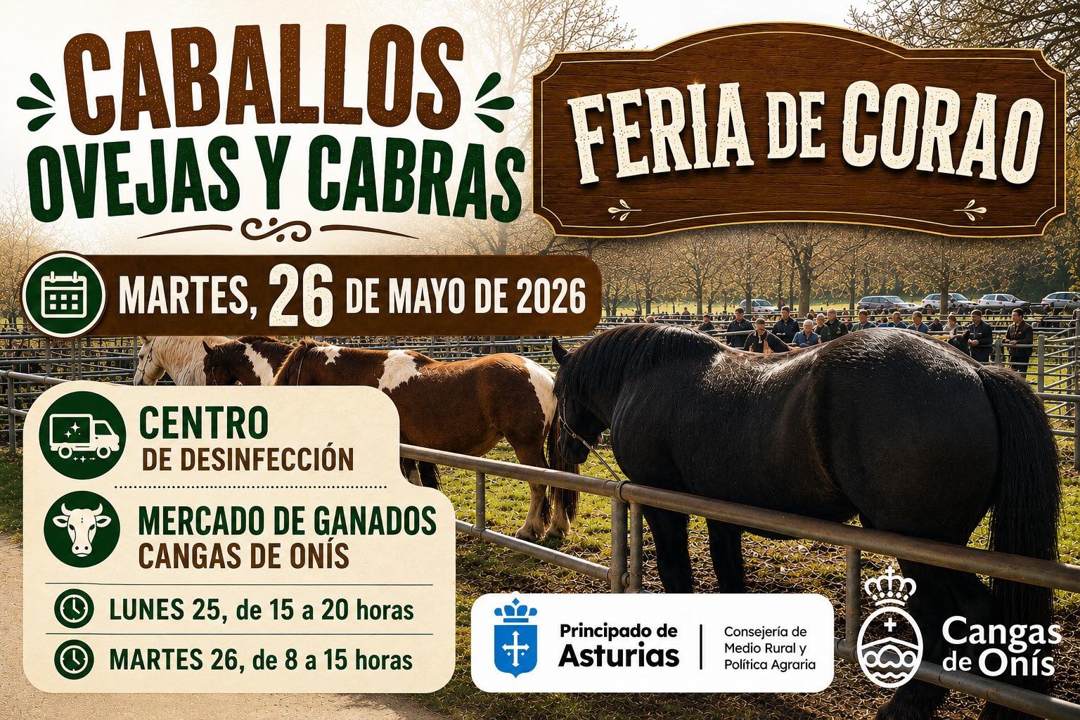 Cangas de Onís celebrará el 26 de mayo una nueva Feria de Corao de caballos, ovejas y cabras - Concejo de Cangas de Onís