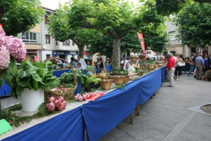 XIX FERIA DEL CAMPO DE POSADA DE LLANES - XXXVII CERTAMEN DE LA HUERTA - Concejo de Llanes